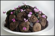 bloemen en planten vvbvanbree     1128